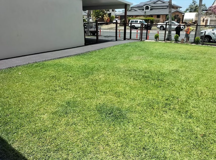 Clean concrete path beside fresh turf